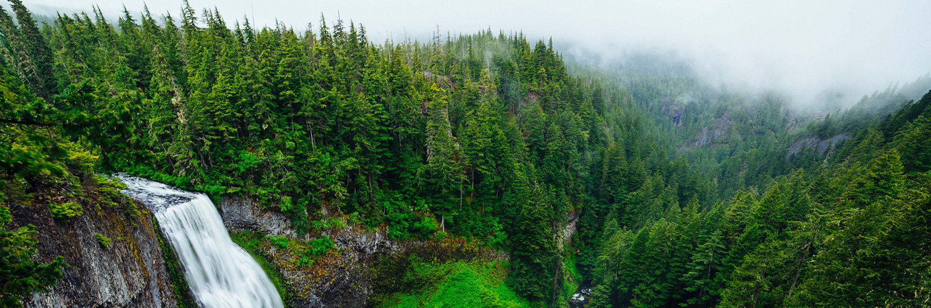 技术领先  安全可靠
